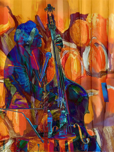 digital photo of a musician by Jenny Pivor