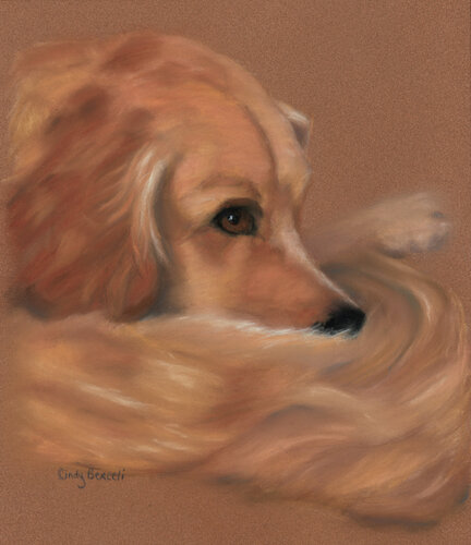 pastel portrait of a Golden Retriever by Cindy Berceli