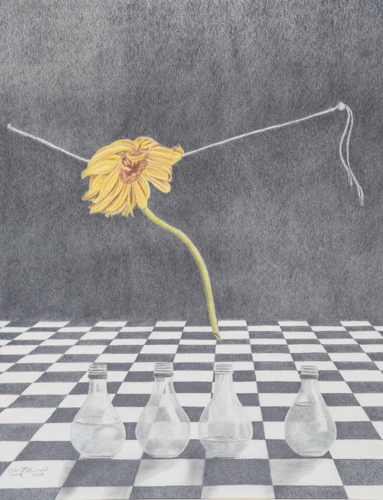 Fantasy drawing of a suspended flower in graphite and colored pencil