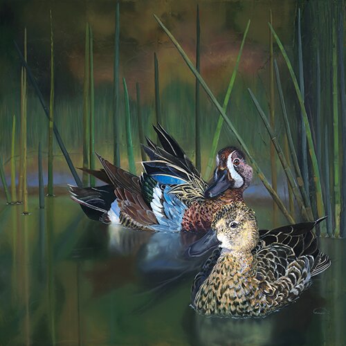 Painting of two ducks afloat by Allison Richter