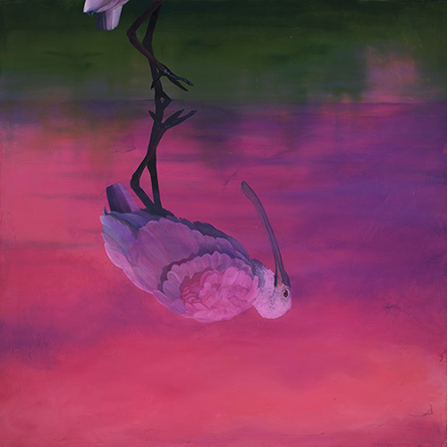 Dramatic bird portrait reflected in water by Allison Richter
