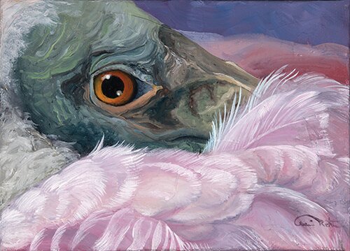 Close up painting of roseate spoonbill by artist Allison Richter