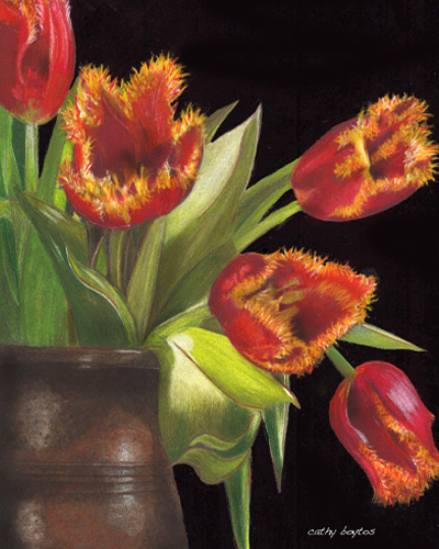 colored pencil of parrot tulips by Cathy Boytos