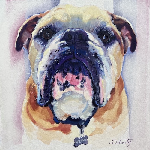 bulldog pet portrait