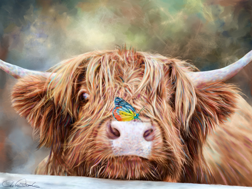 digital painting of a highland cow with butterfly