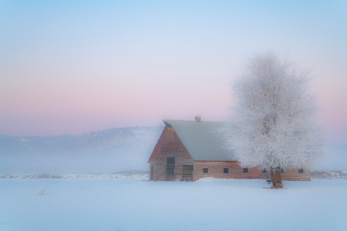 ethereal photo of a frozen landscape at sunrise