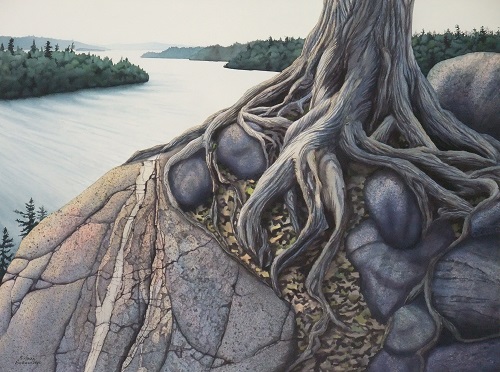 watercolour painting of an old tree growing on a rock