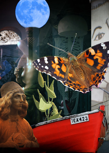 surreal photomontage of a curiosity shop