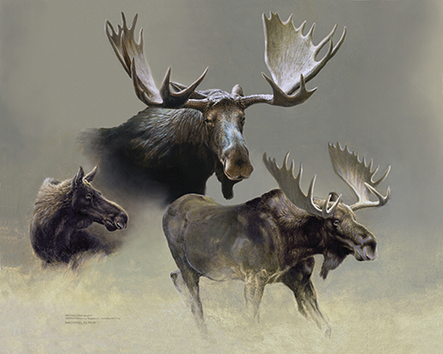 oil painting realistic algonquin moose