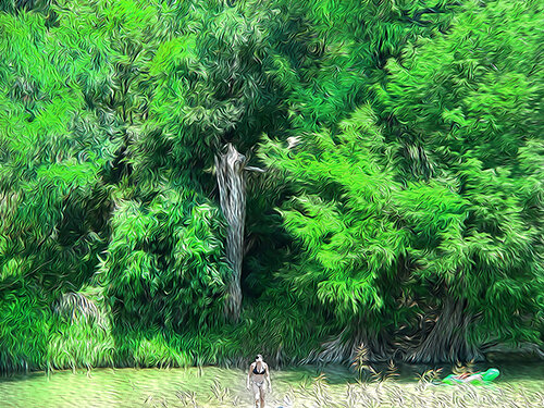 digital image of a person walking in a forest