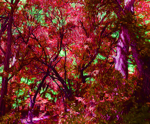 enhanced forest scene digital art in red