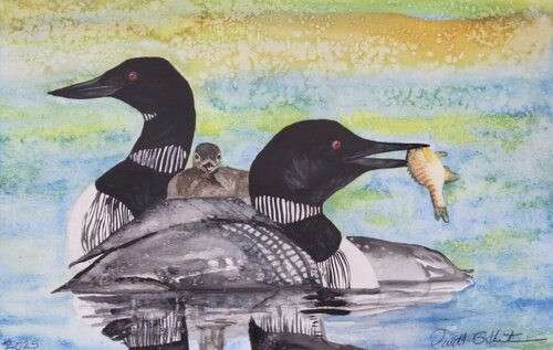 watercolor painting of loons on a lake
