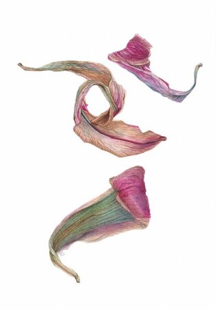 watercolor painting of decaying leaves