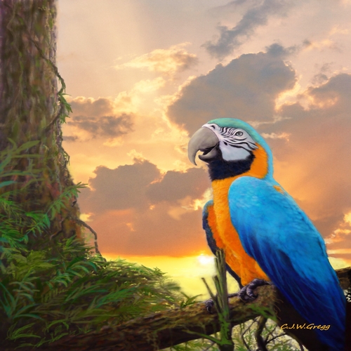 realistic painting of a macaw at sunset