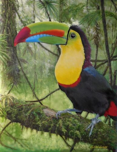 oil painting of a toucan