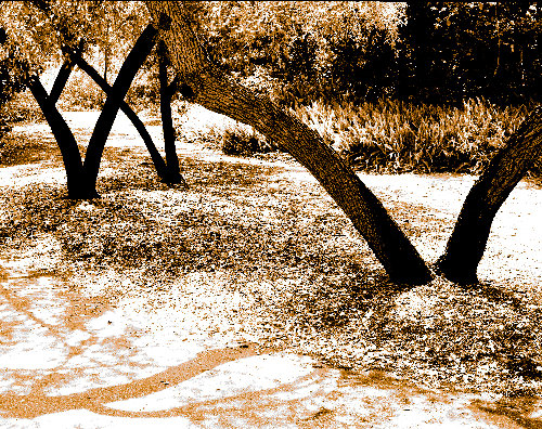 sepia landscape photograph