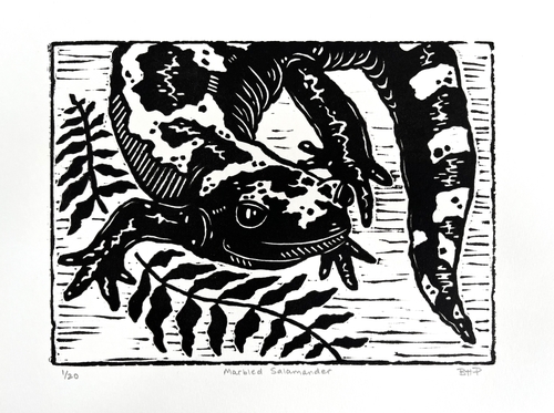 a black and white linocut print of a salamander