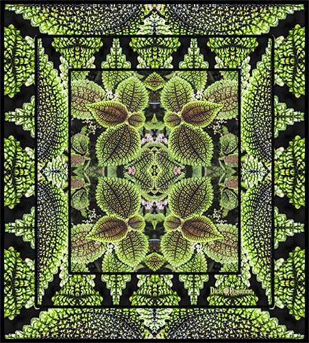 nature inspired leaf photo collage