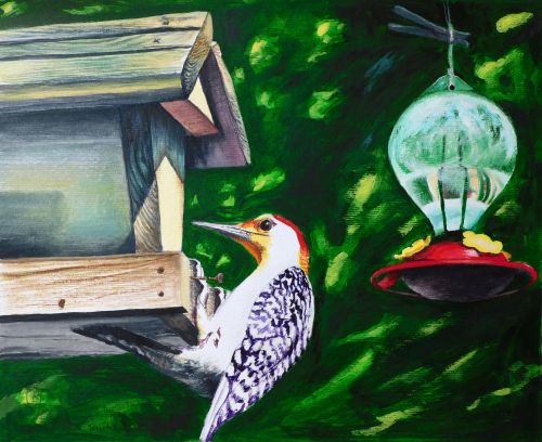 painting of a woodpecker by Rhia Janta-Cooper
