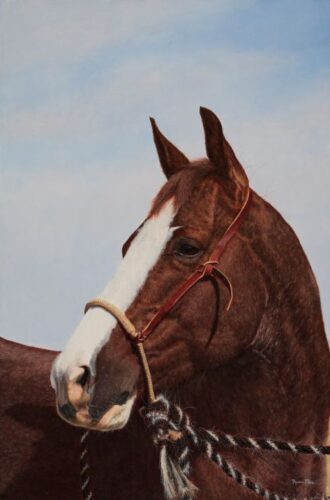oil painting horse portrait