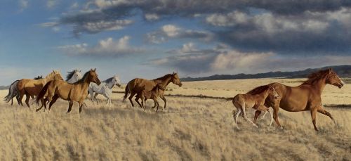 oil painting of a group of horses out in a field