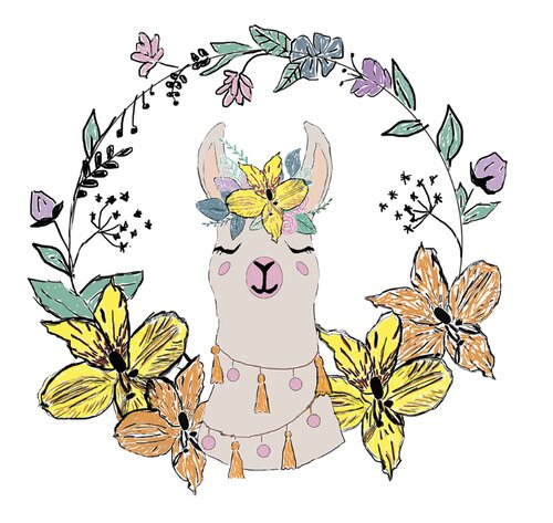 whimsical llama design