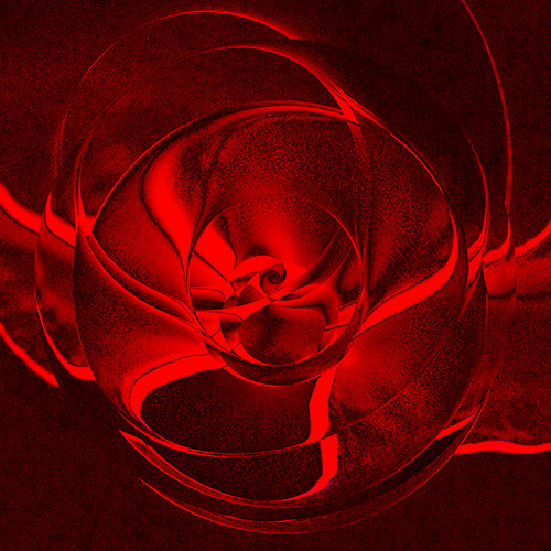 abstract floral photograph