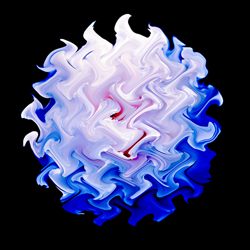 abstract floral photography