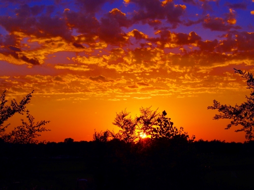 fine art photo of a fiery sunset