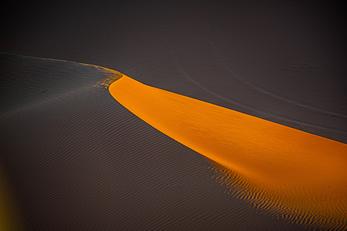 fine art photo of a sahara sand dune