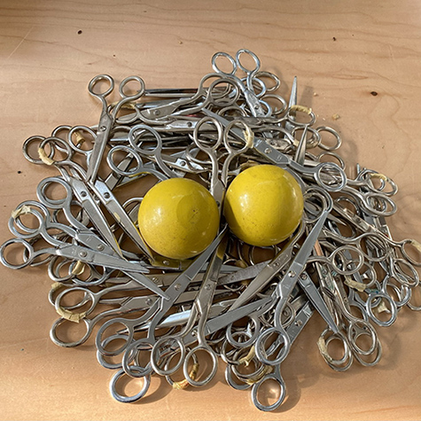 imaginary futuristic nest made from mixed media materials