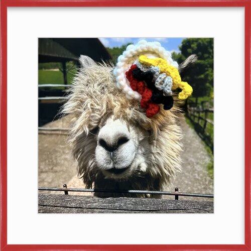 whimical embellished photo of a llama