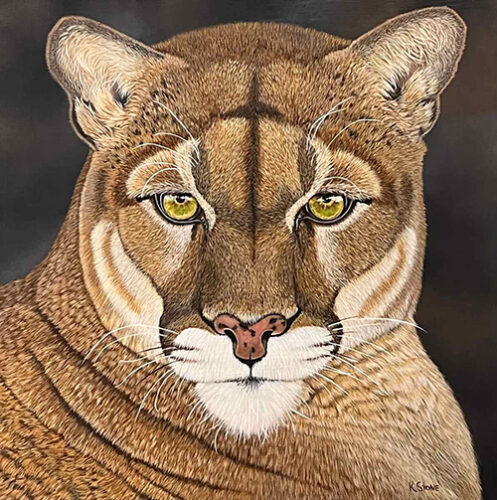 painting of a puma by Kendra Stone