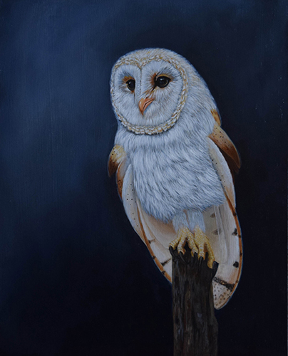 painting of a night owl by Kendra Stone