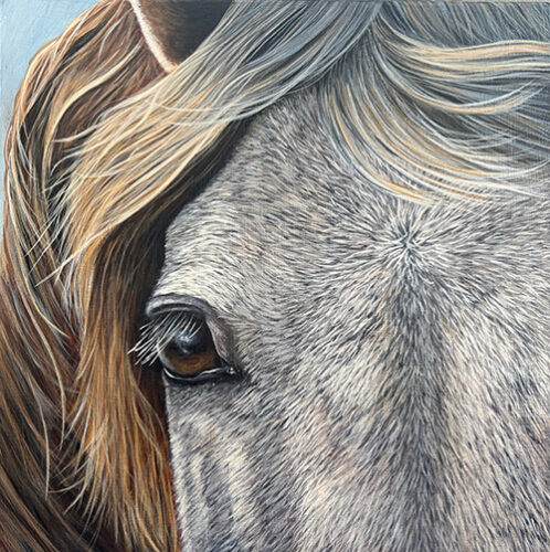 closeup painting of a horse by Kendra Stone