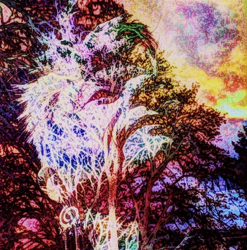 digital artwork combining a self-portrait and landscape