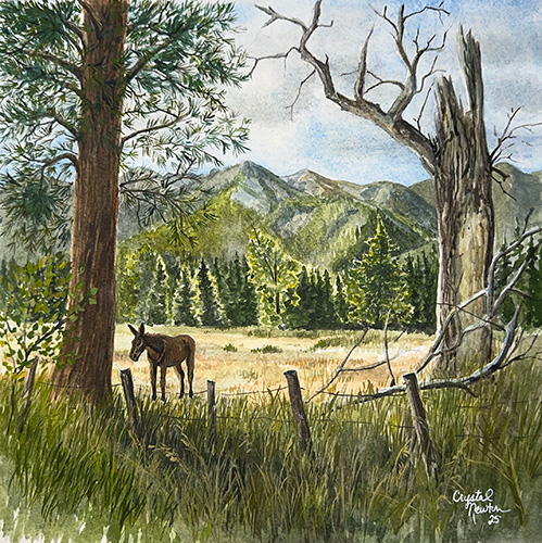 plein air watercolor painting of a donkey in a field