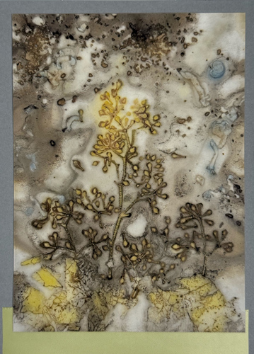 sample of eco printing on a greeting card