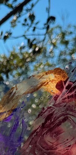 nature inspired altered composite photo