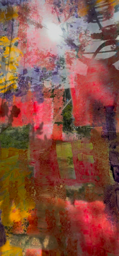 abstract nature themed composite photo