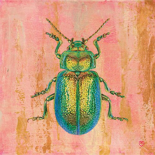 painting of a colorful dung beetle