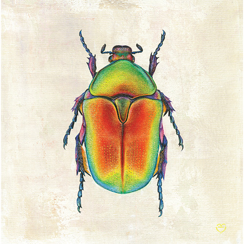 painting of a scarab beetle