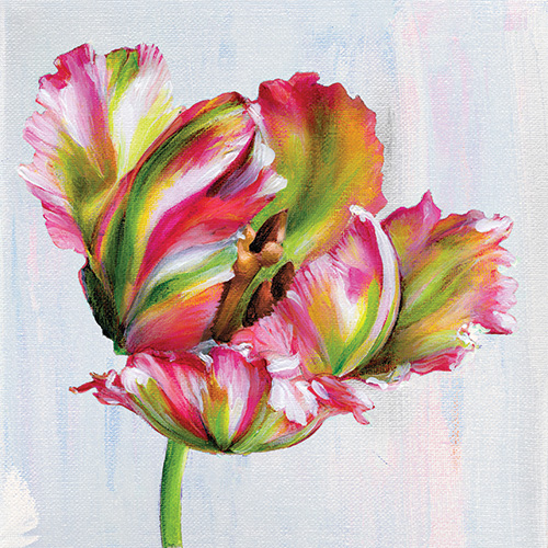 painting of a parrot tulip