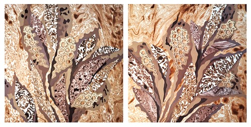 floral and lace art collage