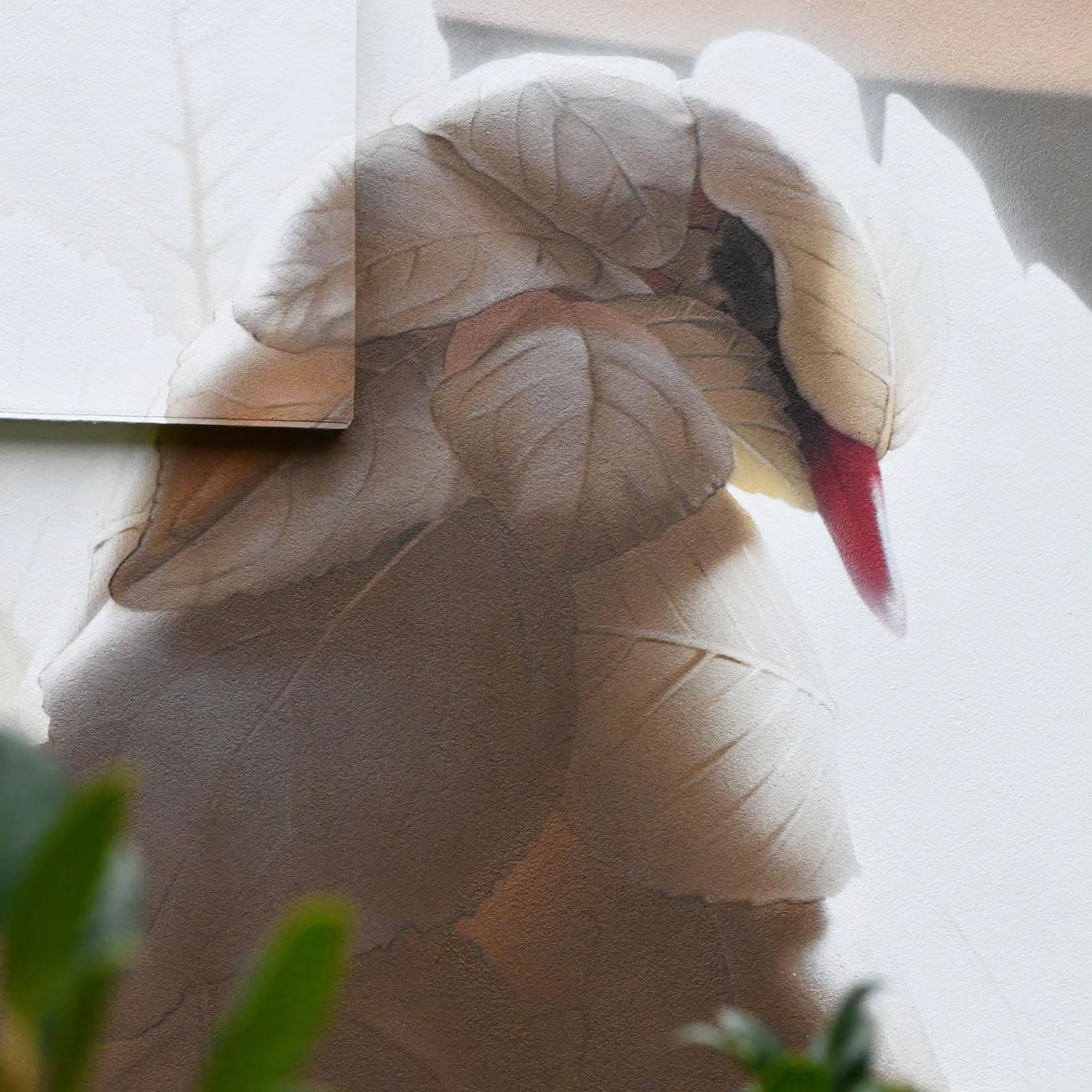 Photo by Alessandro Etsom on October 12, 2026. May be art of mourning dove, swan, goose, spoonbill and text.