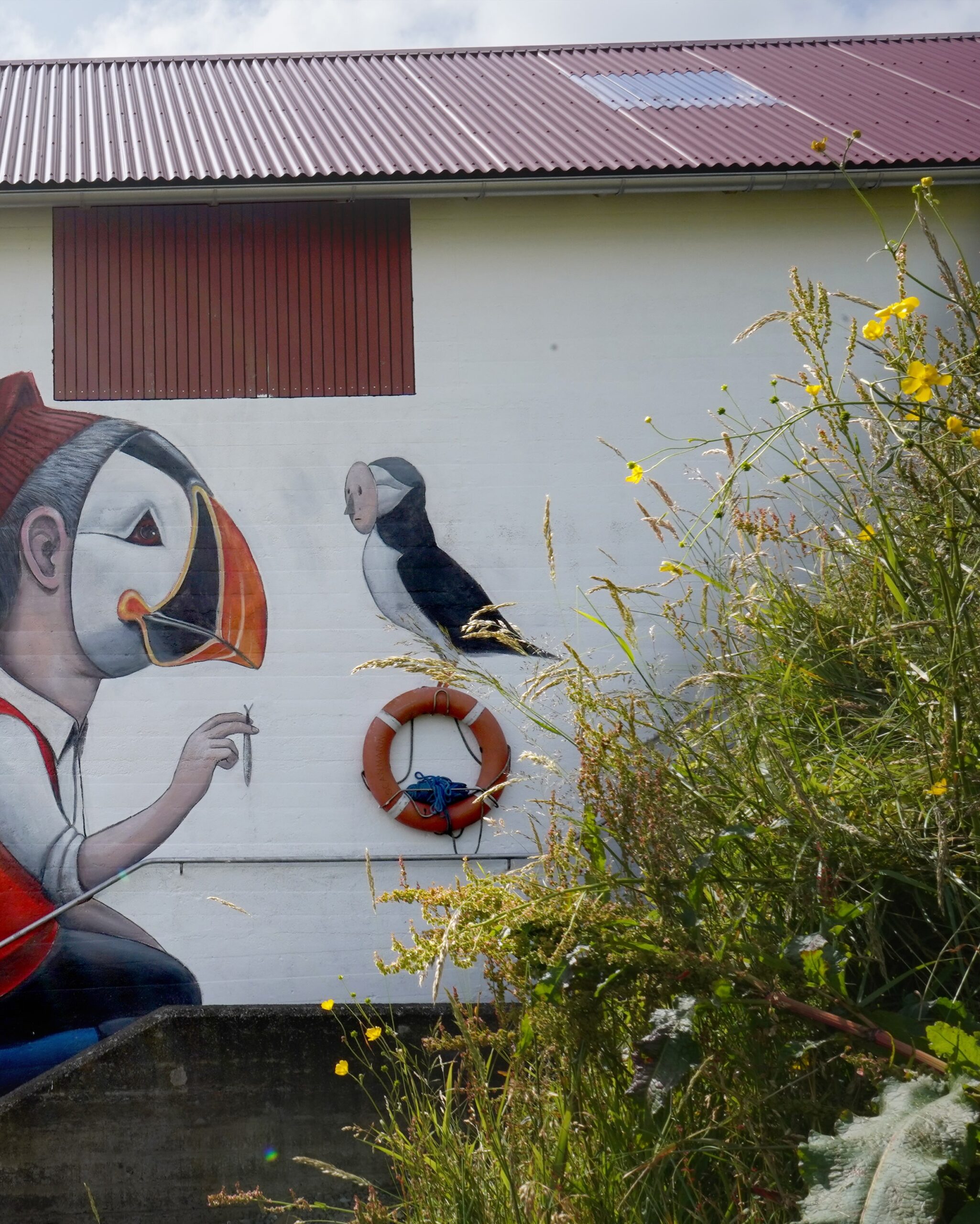 Photo by seth_globepainter on October 14, 2026. May be an image of tufted puffin and text.