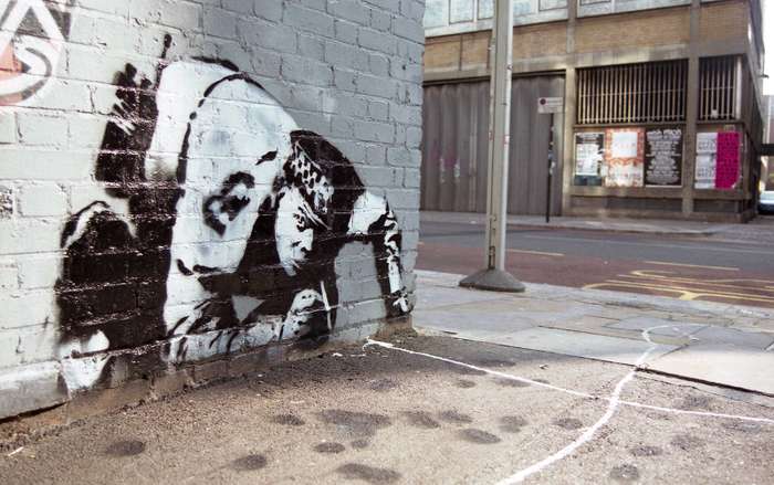 Banksy Snorting Copper stencil with a white line extending onto the pavement