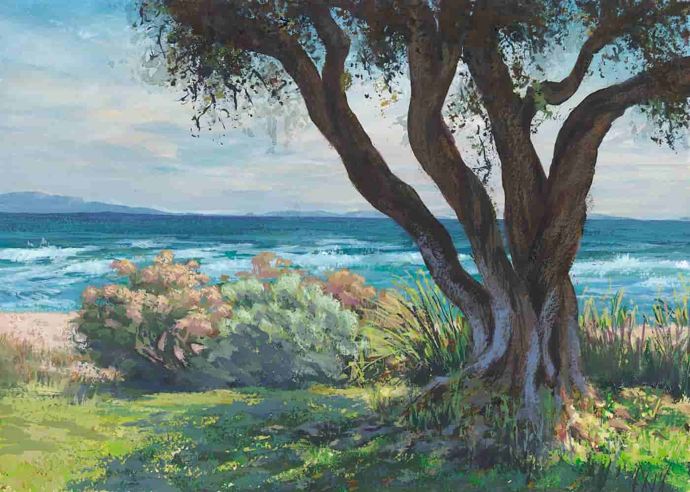 Writhing tree with four trunks casting a shadoow on green grass with bushes behind it and a few of the Pacific Ocean in the background.