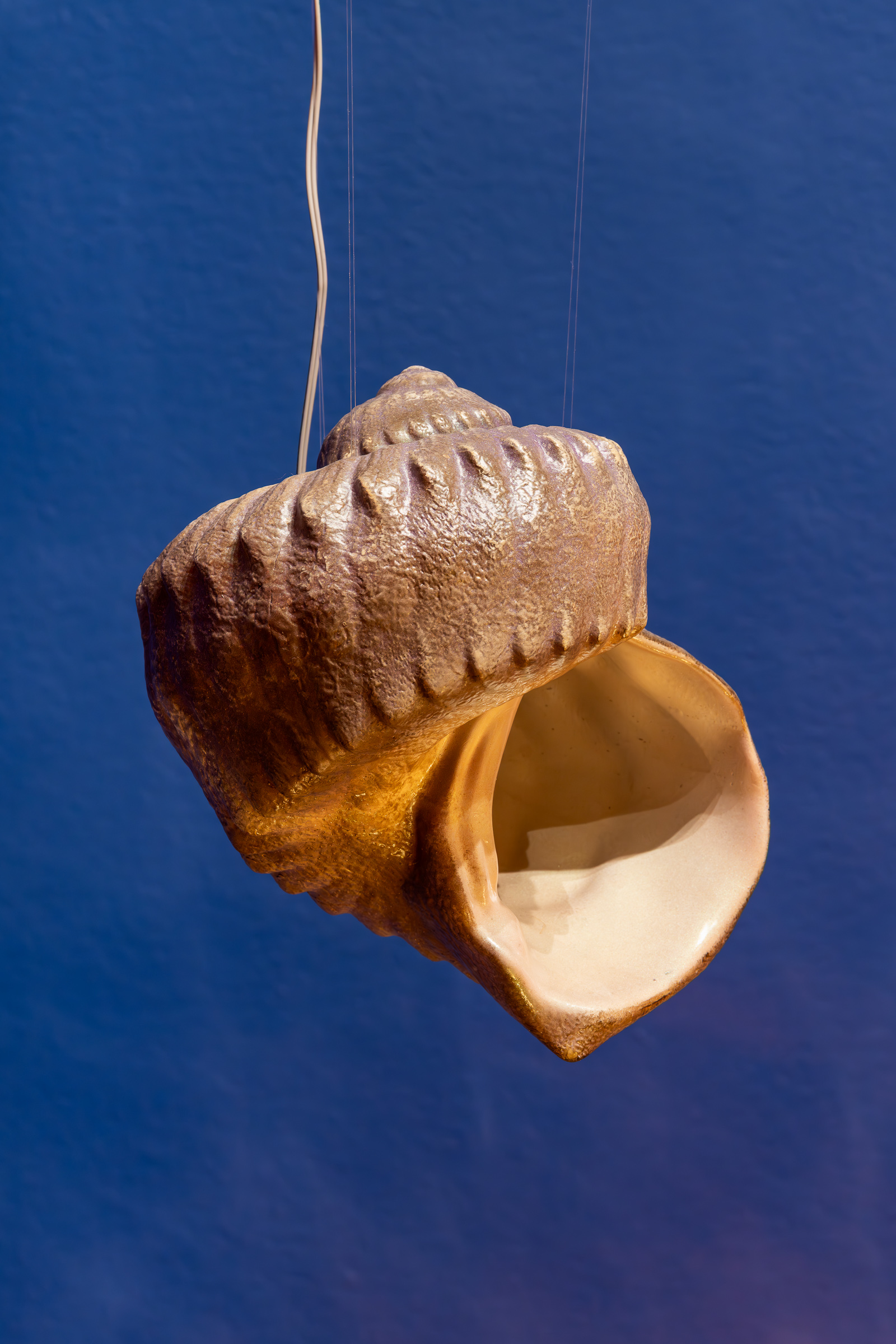 Close view of a suspended conch-shell sculpture in Zadie Xa and Benito Mayor Vallejo’s installation